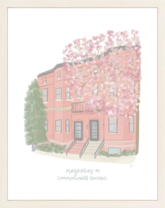 Magnolias on Commonwealth Avenue Print